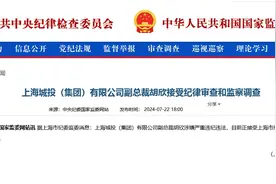 上海城投集团副总裁胡欣被查图片
