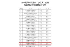 机器视觉公司汇萃智能入选国家级重点 “小巨人”企业图片