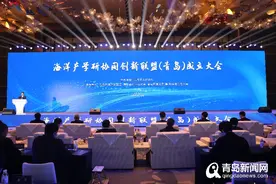 开启海洋产业发展新篇章 青岛海洋集团正式揭牌成立图片