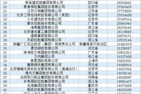 河北34家！2024中国民企500强榜单来了图片