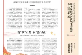 新“枫”正劲 向“治”而行 宝丰县检察院深入践行新时代“枫桥经验”图片