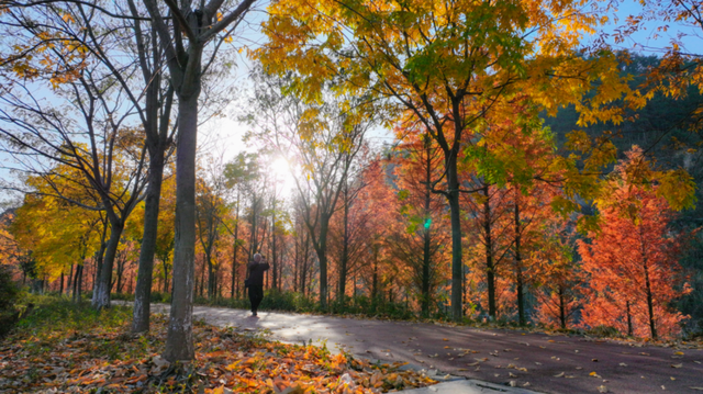 郧西县观音镇刘家湾村初冬美景引客来