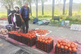 李大爷的蔬菜摊图片