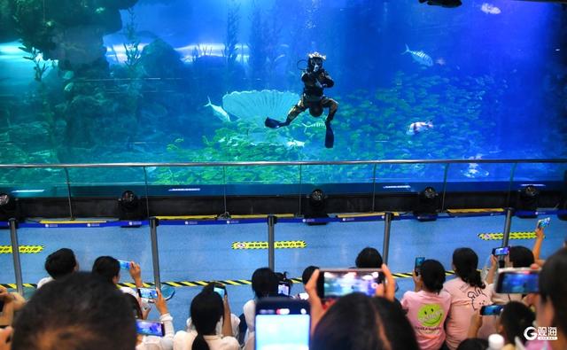 “发光”展、水下变脸、海底炫蝶……今年暑期，青岛海底世界惊喜连连