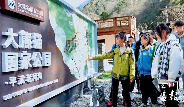 画卷天府·熊猫盛典｜从靠山吃山到养山富山：平武高村乡的生态振兴实践与启示