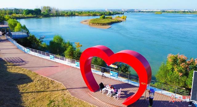 黄河湿地秋韵浓