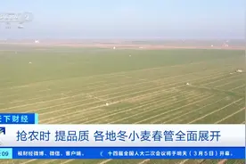 抢农时，提品质！全国多地冬小麦春管全面展开图片