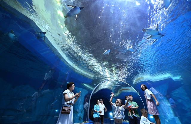 海南陵水：惬意错峰游