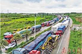 暴雨中的温暖“避风港”图片