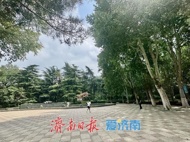 百花公园绿树成荫景如画 市民休闲好去处