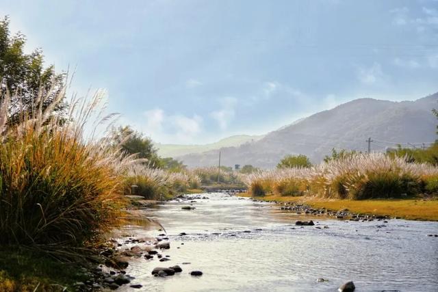 周末露营天花板，来福安“野” 一天！