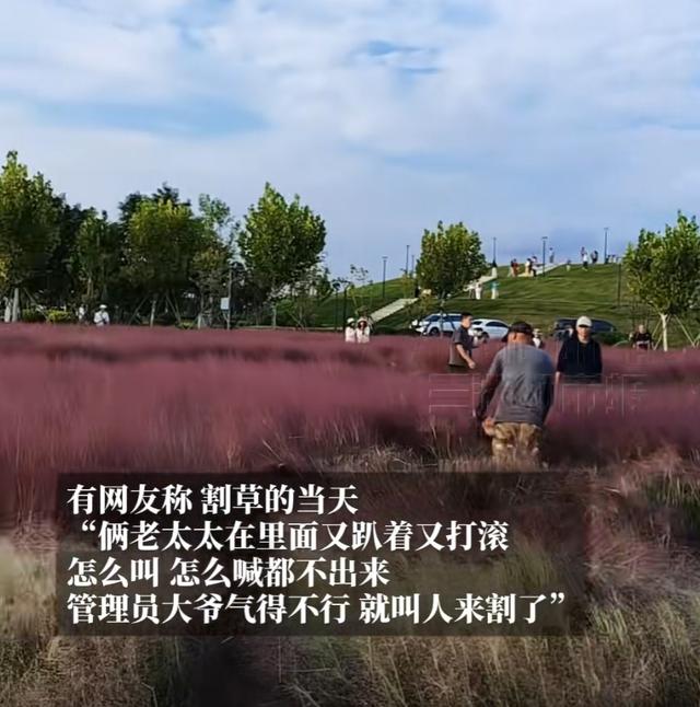 太可惜，被迫提前“下架”！上海这里正值“颜值巅峰”，多处“伤痕累累”……