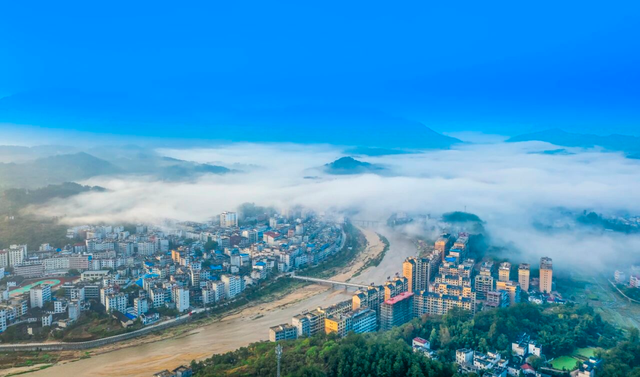 秋天来罗田,好“柿”正发生!