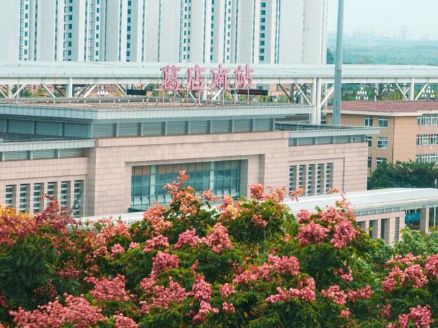 葛店这条“黄金大道”再不看就晚了！