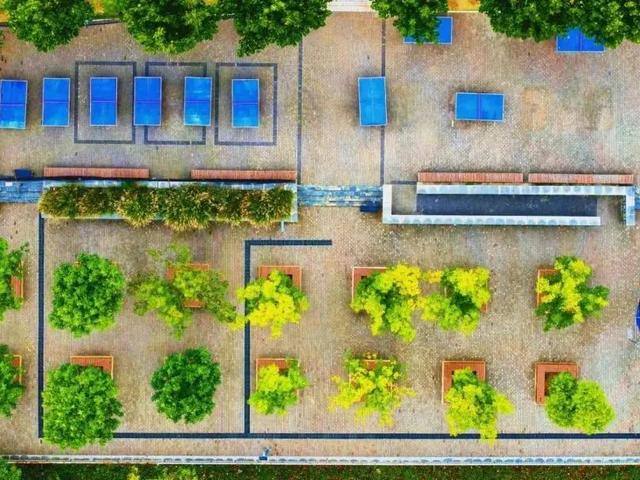 打卡遛娃健身新地标！郑州九大体育公园惠民开放→