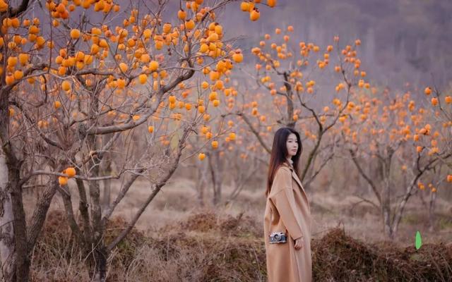 又好吃又好看！日照这里，火成新晋顶流！