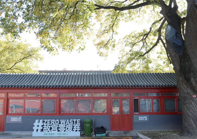 百年故宫 再续新章｜红墙内，绿韵生