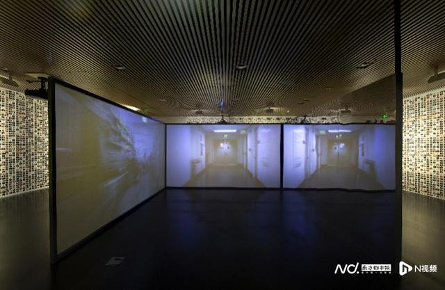 重思自然与人类的关系，展览“自然契约”登陆清华艺博