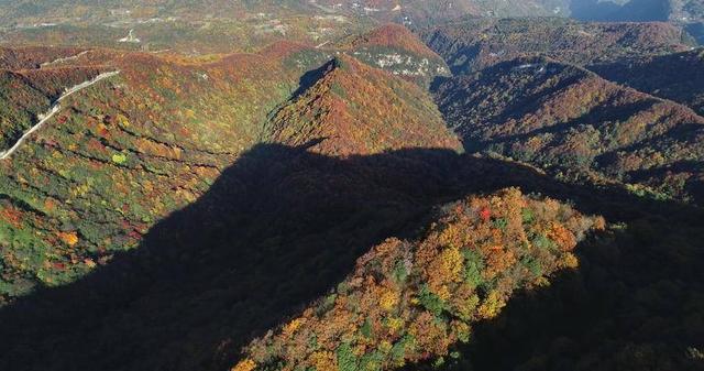 寻美兴山：又见榛子红