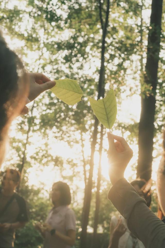 绿美云山丨以森林入药 漫享云山身心疗愈