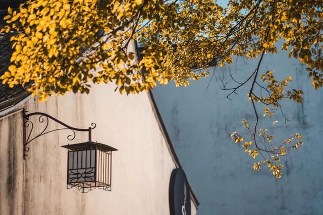 嘉定州桥老街，深秋的画卷正徐徐展开