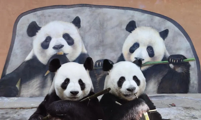 免门票半价游！洛阳多景区“女神节”致敬了不起的她→