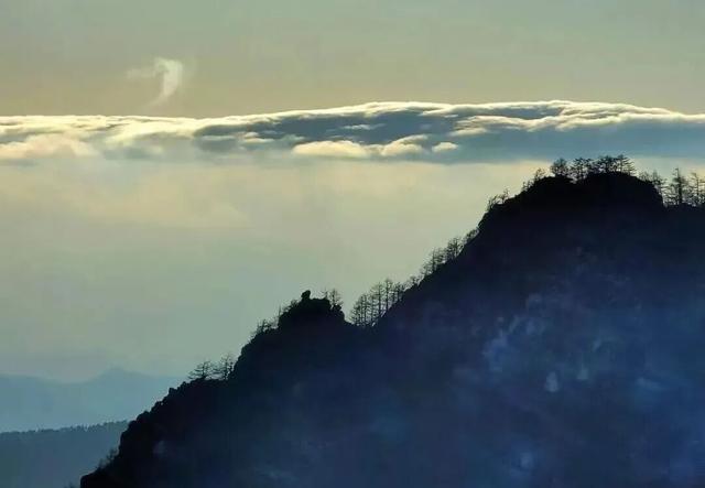 来太白山过冬吧！