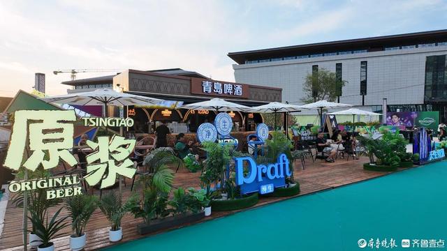 欢聚禹城 干杯世界 禹城2025青岛啤酒节邀你一起夏日狂欢