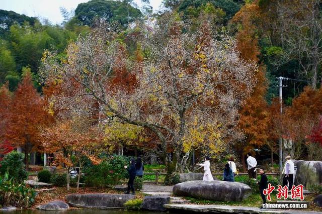 福建福州：乡村美丽冬景引游人