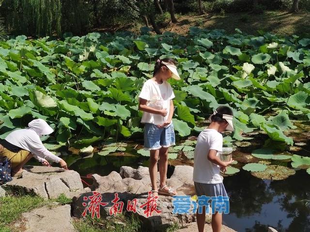 一年四季 泉在济南丨初秋济南天朗气清 市民户外乐享 “泉城秋韵”