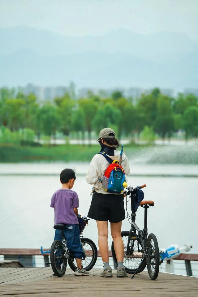 西咸新区600亩向日葵海已绽放