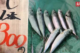 7800吨！日本第一批核污染水排放计划公布图片