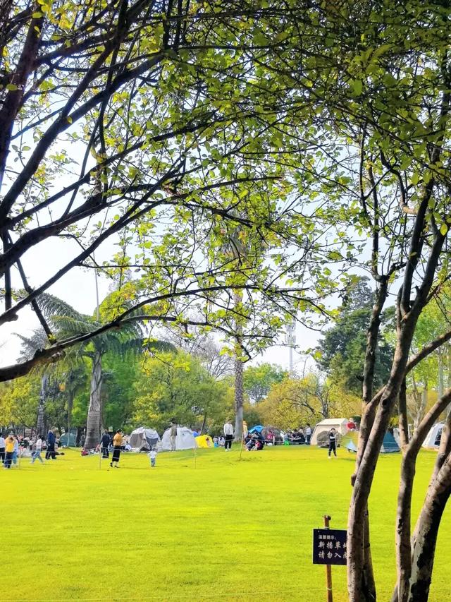 来西山区这些宝藏公园,感受治愈秋色