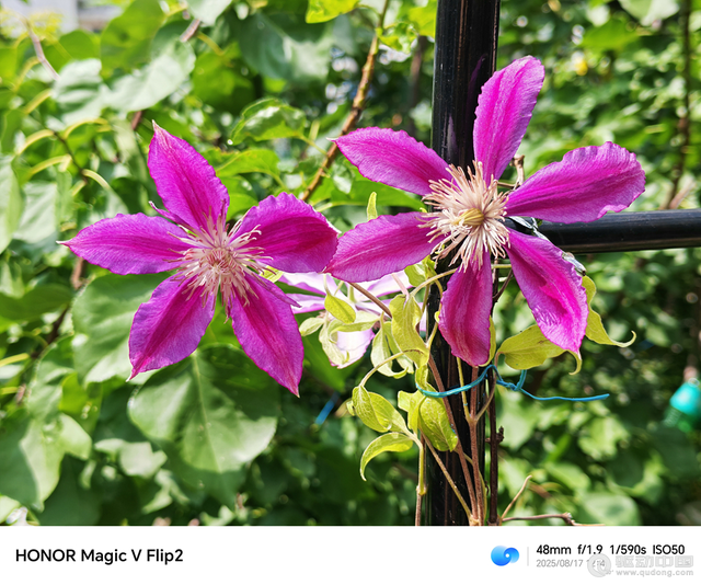 荣耀Magic V Flip2评测：小折叠屏的革新之作