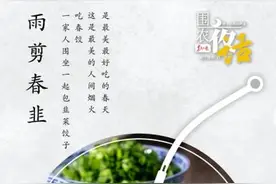围农夜话丨雨剪春韭图片