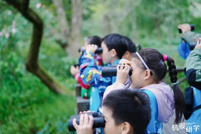 12.07 独立营｜冬日寻羽记：解码西湖候鸟的越冬密码！鸟类专家带队，探秘茅家埠“鸟类天堂”，体验听声辨鸟、飞羽寻踪的野趣周末！