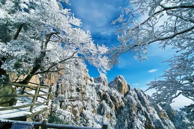 洛阳的第一场雪，来了！
