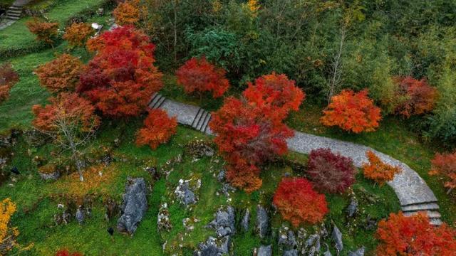 来宣恩矅天眼，看万山红遍，层林尽染！