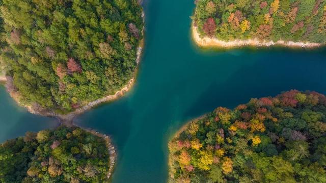 动身前往！收藏千岛湖跨越秋冬的诗意