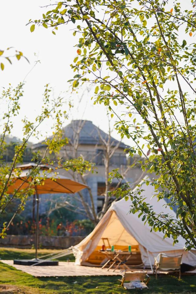 东港，把红叶与暖阳都拥入怀