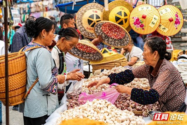 秋游时刻丨湘西苗族聚集地的赶集日常，藏着最鲜活的民族烟火