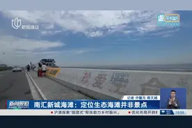 南汇新城海滩：定位生态海滩并非景点视频封面
