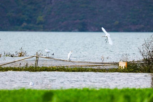 旅居云南·入昆第一站丨嵩明旅居缘何双双“上榜”？