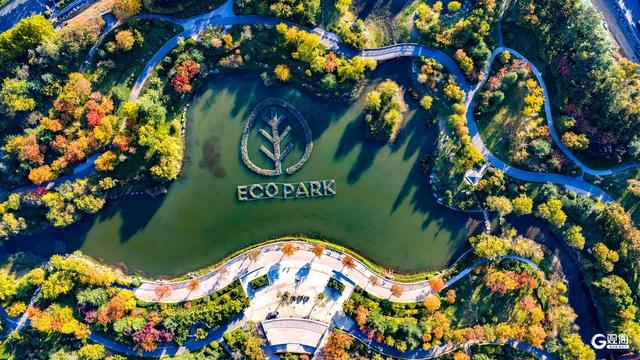 深秋时节，碧水彩林相映美