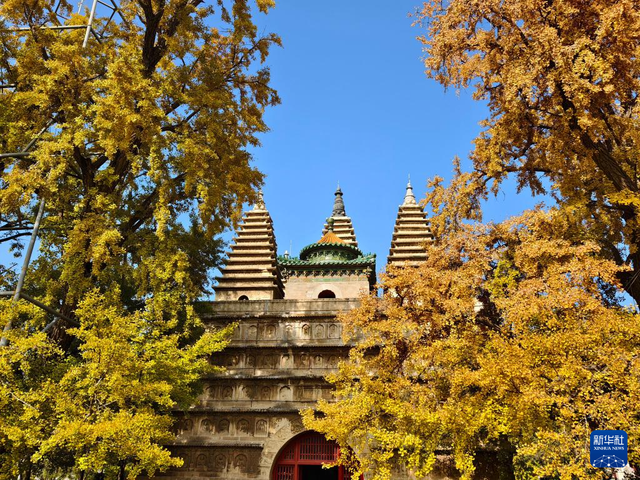 北京：五塔寺秋色浓
