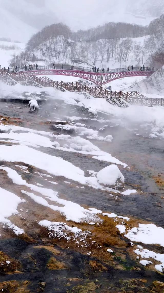 第一批退票日本的年轻人，去吉林了