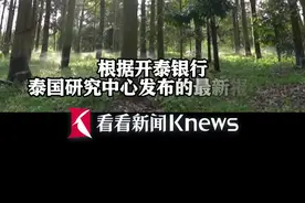 受天气条件影响泰国榴莲产量将创15年来最大降幅图片