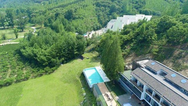 从“一季热”到“四季火”！32个文旅品牌入驻千年银杏谷