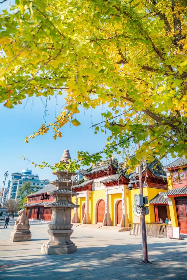 限时绝美！此刻，常州颜值巅峰