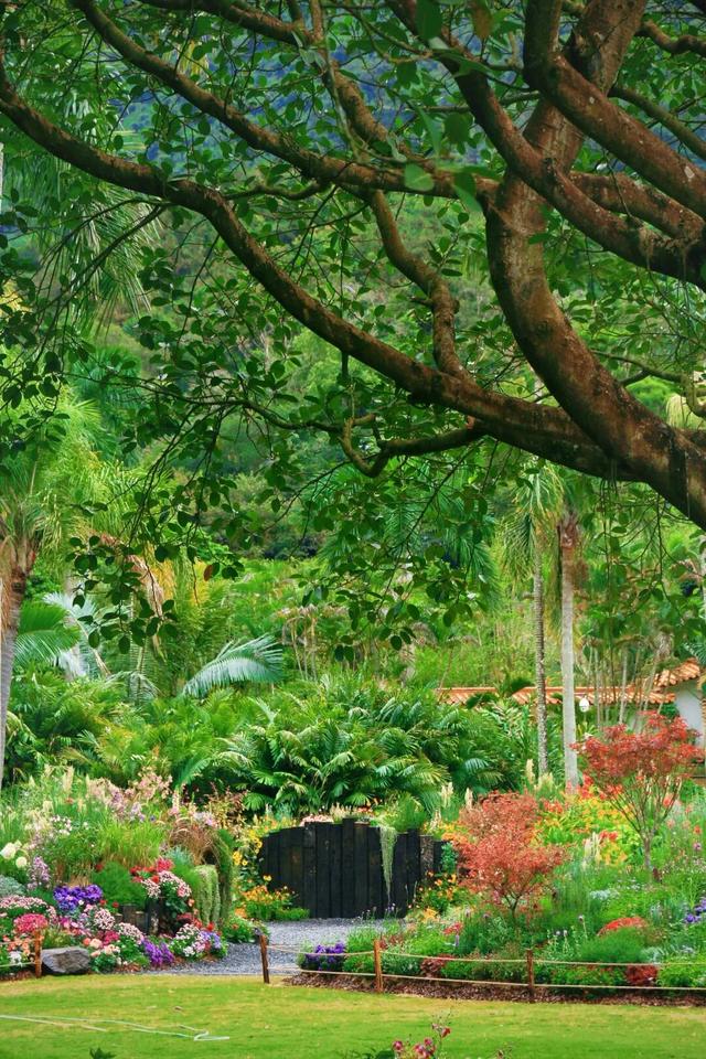 行摄 | 美爆了！秋日花海，限时上映